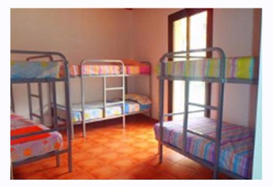 Mybedbcn Hostel Барселона Стая снимка